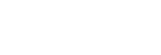 Team Magic