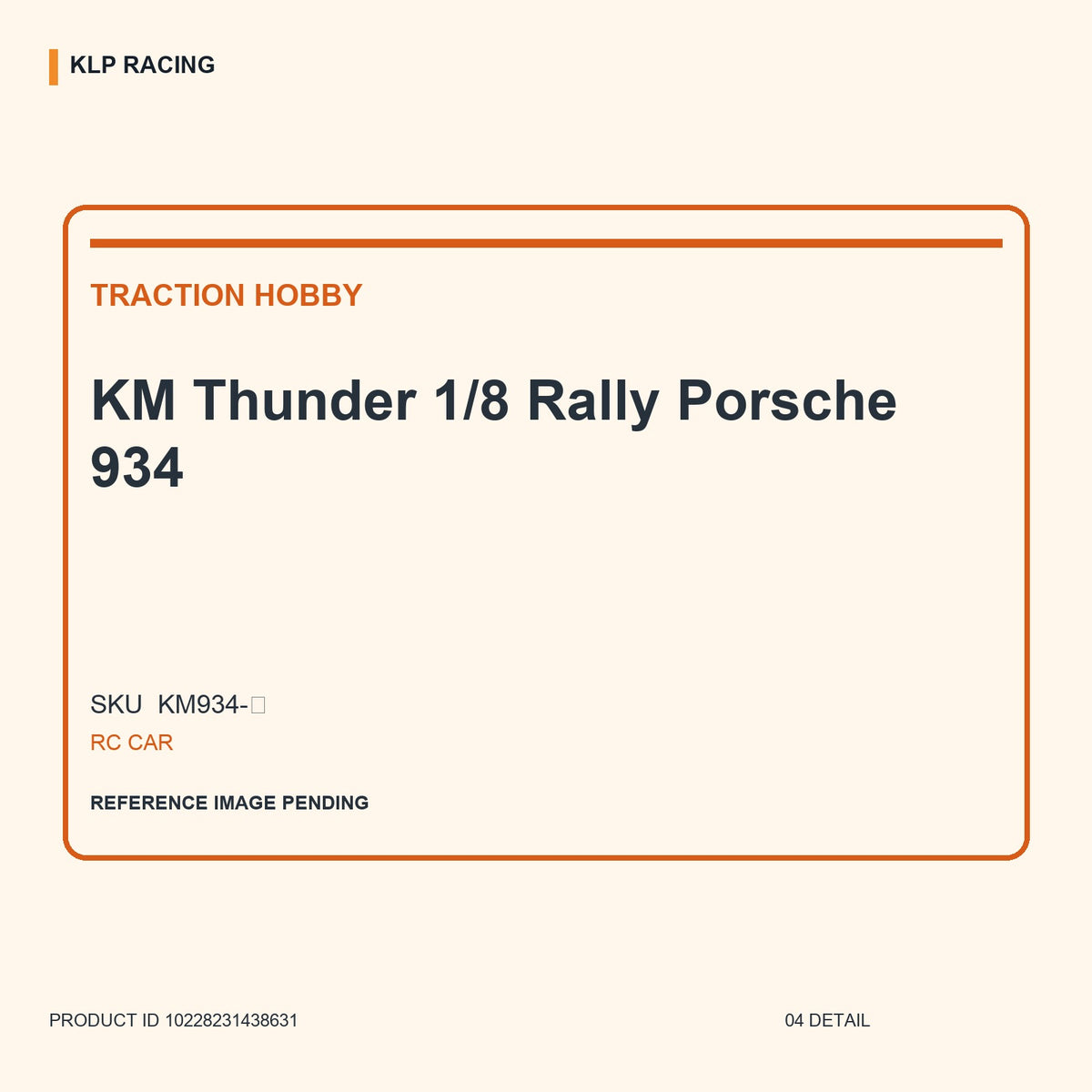 KM Thunder 1/8 Rally Porsche 934 04 detail