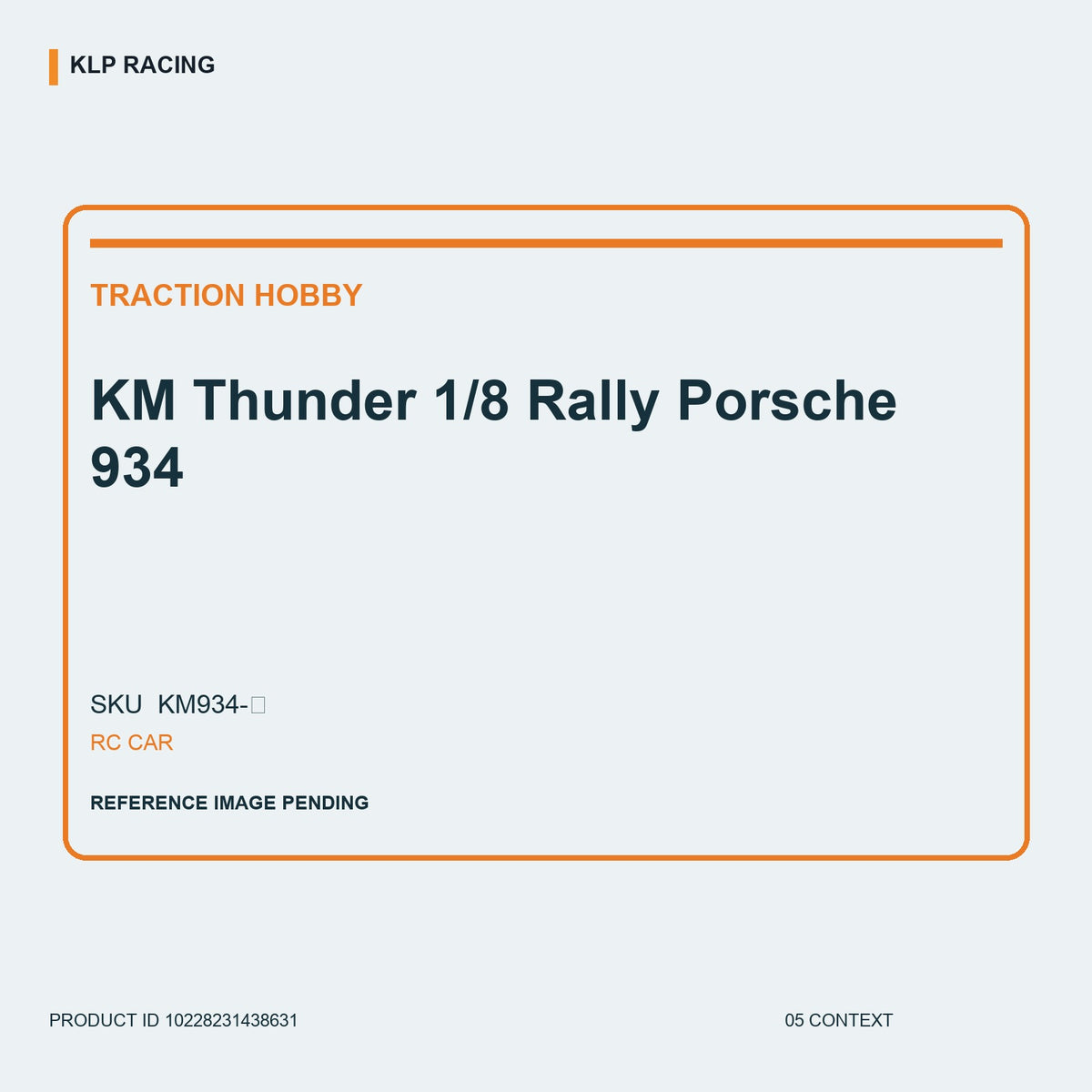 KM Thunder 1/8 Rally Porsche 934 05 context