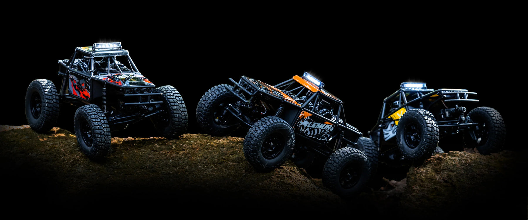 FMS FCX24 Lemur 1/24 RC Crawler RTR