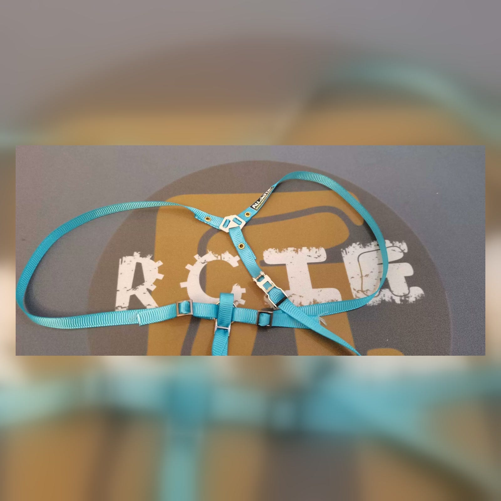 RC Craftsman 3-Point Spare Tire Tie-Down Strap - Lake Blue