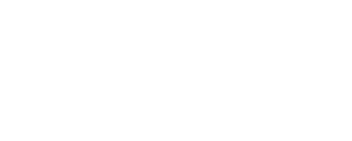 Team Magic